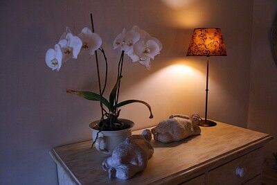 st aubin de baubigné-les roches moussets-chambre-orchidee.jpeg_14