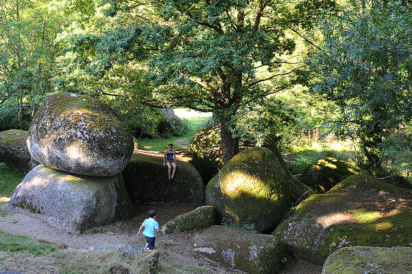 rocher-branlant-jardin-des-chirons-2000bressuirais (pw) 5280.jpg_6