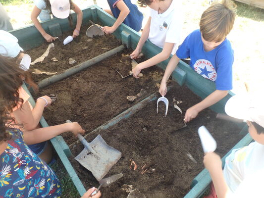 Ateliers juniors