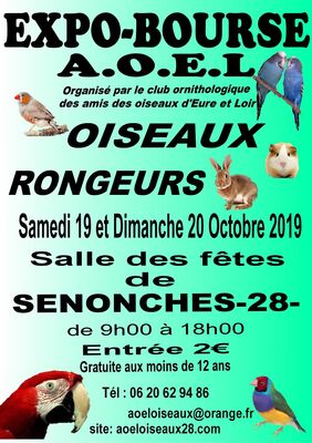 AOEsenonches-20-octobre--page-3-