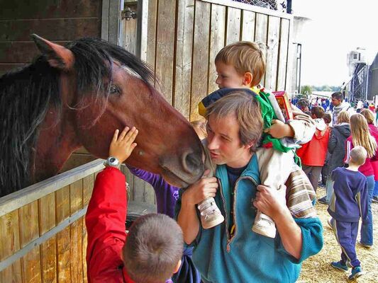 Bergerie Nationale caresse cheval