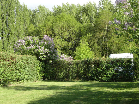 Camping "Le Bois Fleuri"