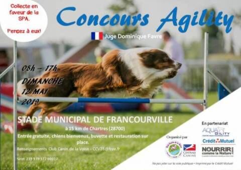 Concours-d-agility