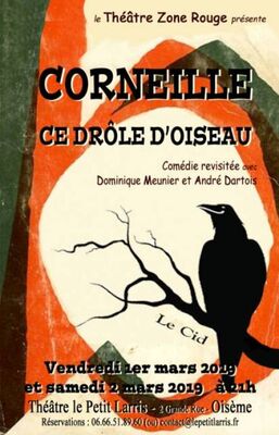 Corneille--ce-drole-d-oiseau