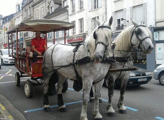 Ecurie d'Albe dans Nogent