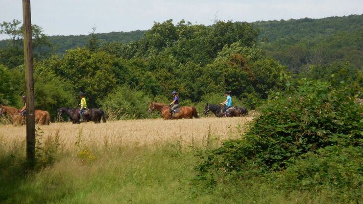 Ferme-equestre-de-Montecot