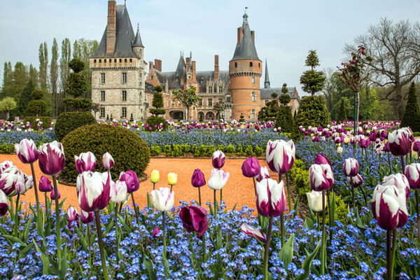 Château de Maintenon