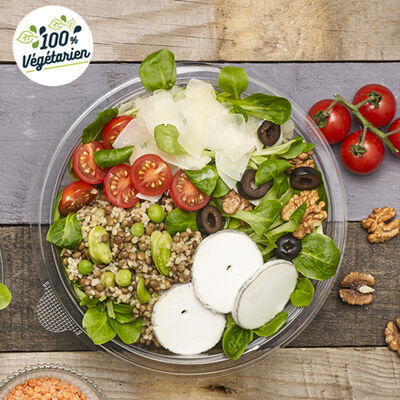 PUBLICATION-SaladeVeggie