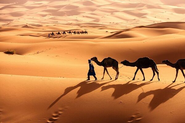 Sahara