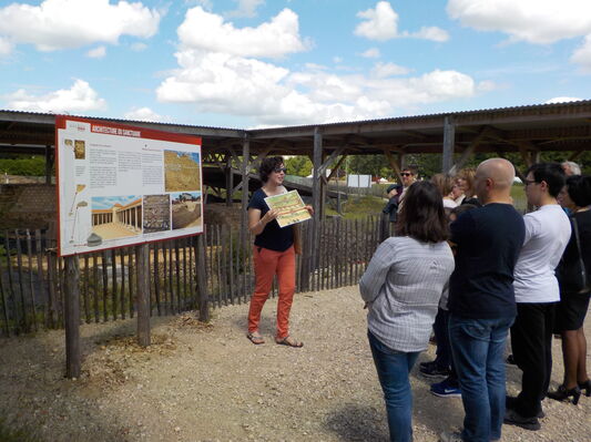 Visite SMV
