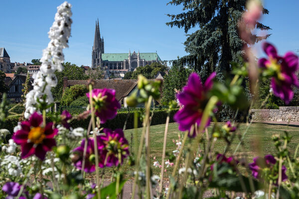 Visites guidées et audio-guidées de Chartres