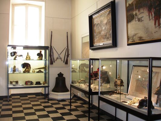 Musée des beaux-arts et d'histoire naturelle de Châteaudun