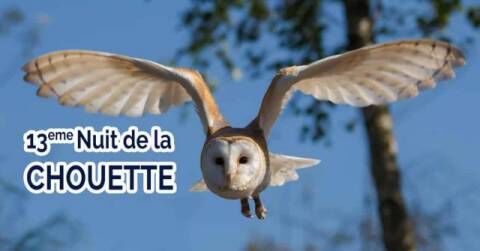 nuit-de-la-chouette-2019