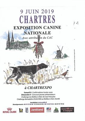 affiche-exposition-canine