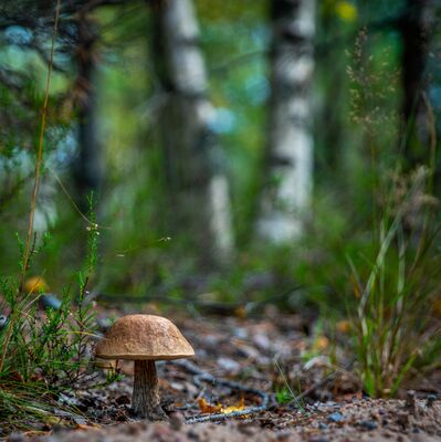 blurred-background-close-up-colors-1757247