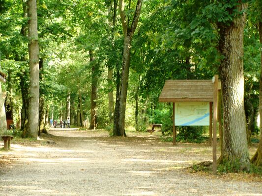 bois-des-gats