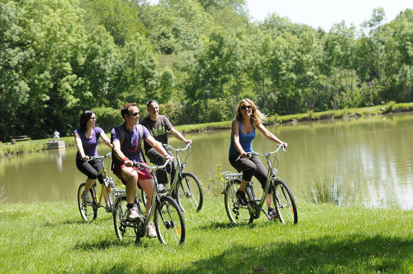 Location de vélos à assistance électrique