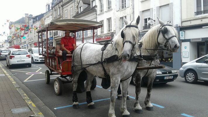 caleche-devant-ot
