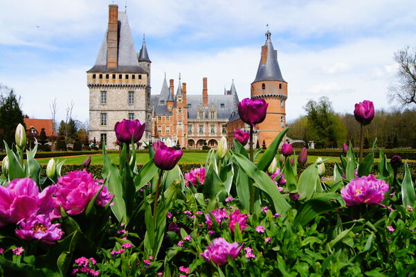 Tulipiades au Château de Maintenon