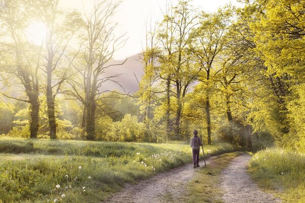 path-andar-field-landscape-160636-2