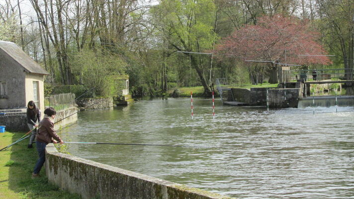 peche