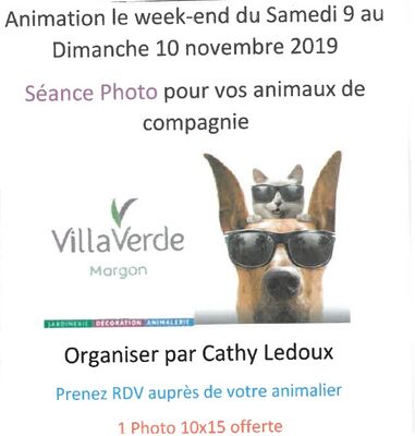 seance-photo-animaux-villa-verde