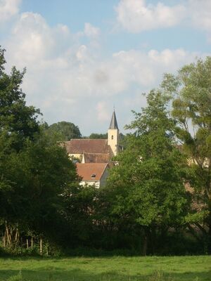 trizay9-Y