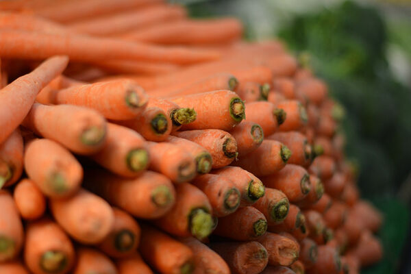 MARAICHER LEGUMES (3)
