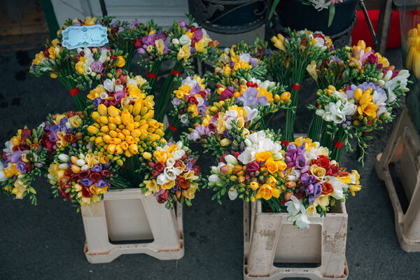 FLEURISTE (1)