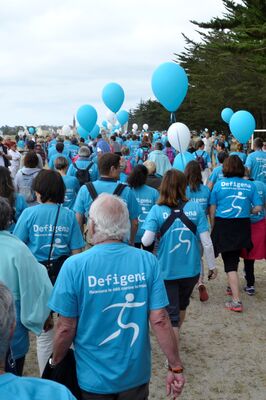 Ile-Tudy--Pays-bigouden-bretagne-Defigena