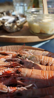 Langoustines