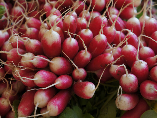 marché légumes