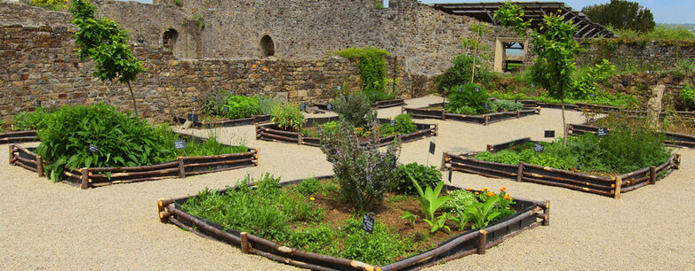 Jardin-des-simples-landevennec