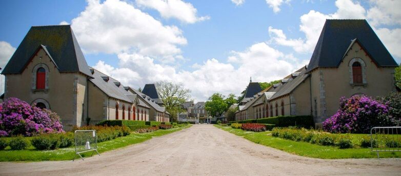 haras-2