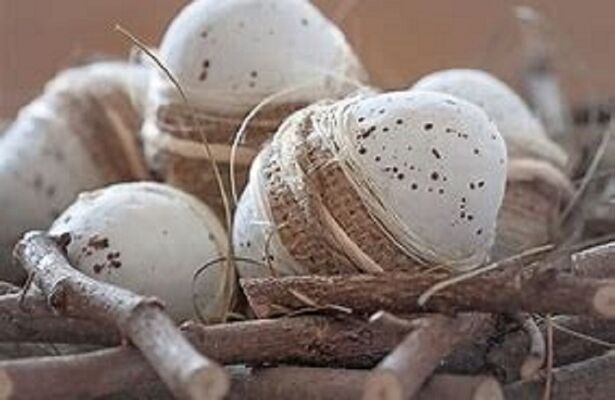 pixabay-oeuf-decore