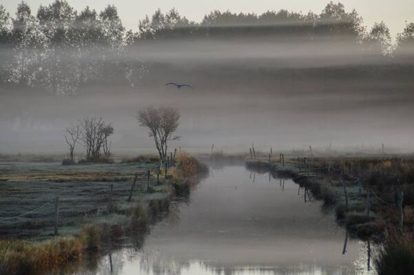 polder
