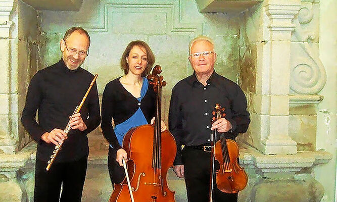 trio-ehesla