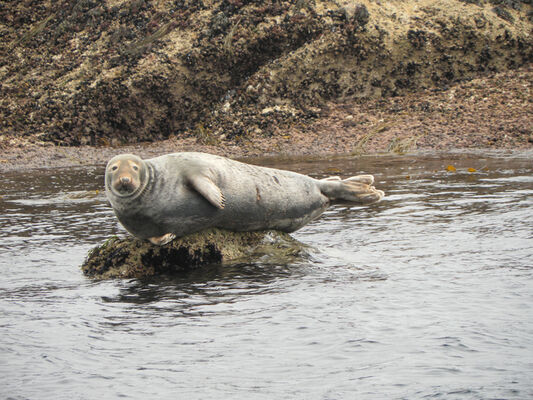2 Balades et pêche en mer - Guilvinec - Pays Bigouden