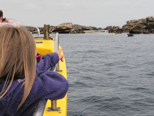 4 Balades et pêche en mer - Guilvinec - Pays Bigouden