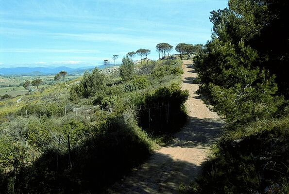 Murviel-le-Pech-Pays-Luc-Micola