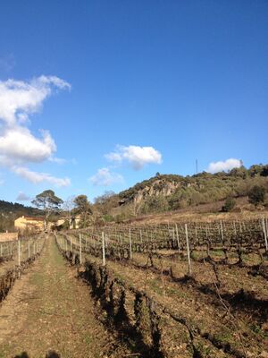 CLOVALLON 3