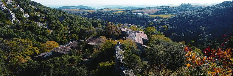 Cabrerolles-Pays-Luc-Micola