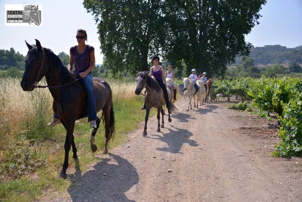 Centre-equestre-aneblanc-cessenon-5