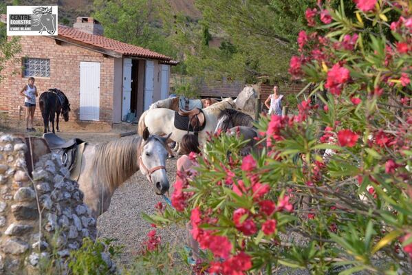Centre-equestre-aneblanc-cessenon-1