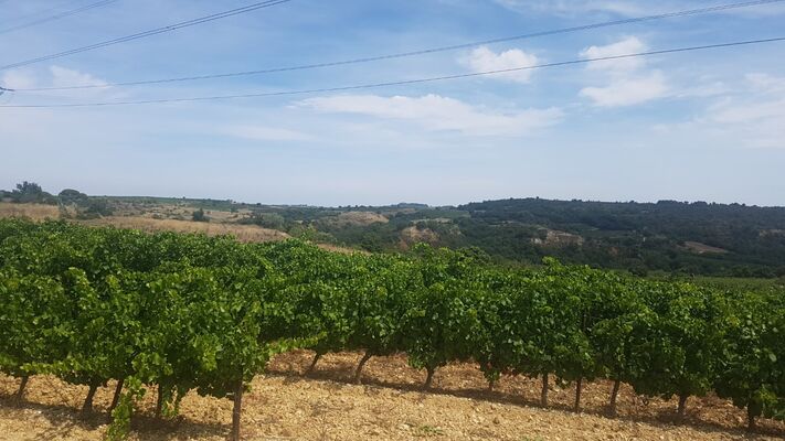 Domaine-Galtier-4-3