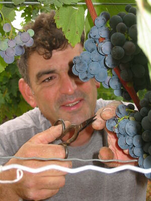 Domaine Lupia 2013
