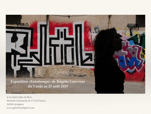 Expo-entretemps-Brigitte-Couvreur