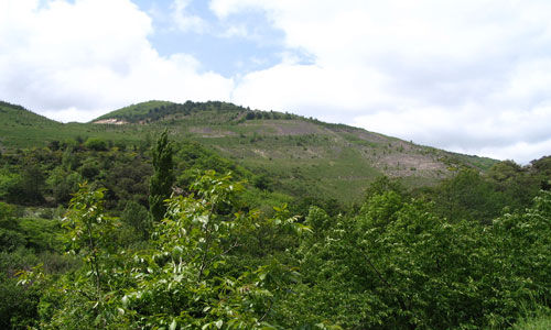 PR31 - ARBORETUM DE L'ESPAZE