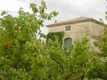 L'Hort Del Gal (4)