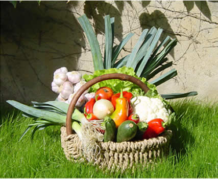 L'Hort Del Gal (5)